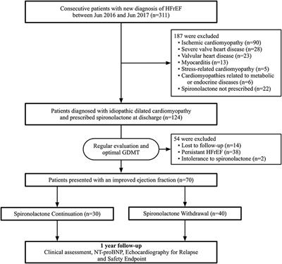 Outcomes of Spironolactone Withdrawal in Dilated Cardiomyopathy With Improved Ejection Fraction